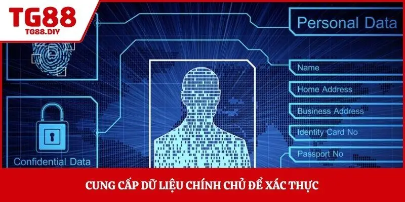 Cung cấp dữ liệu chính chủ để xác thực 